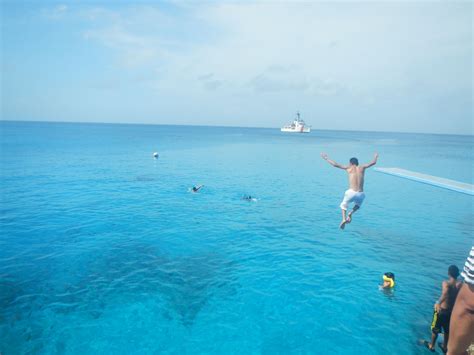 a man jumping into the ocean from a cliff in front of people swimming ...