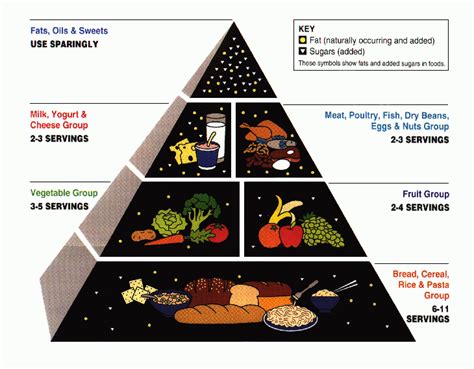 Food pyramid - Simple English Wikipedia, the free encyclopedia