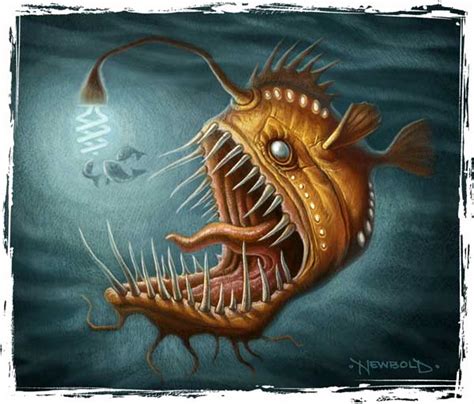 Angler Fish Drawing at PaintingValley.com | Explore collection of ...