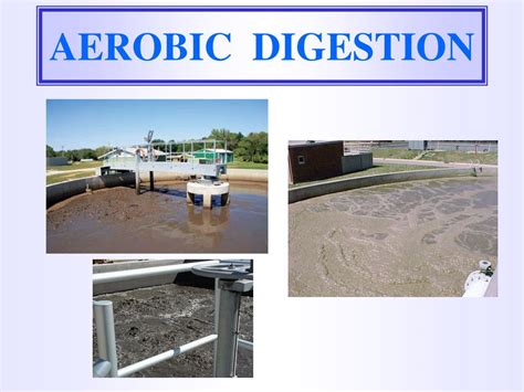 PPT - ANAEROBIC SLUDGE DIGESTION PROCESS PowerPoint Presentation, free ...