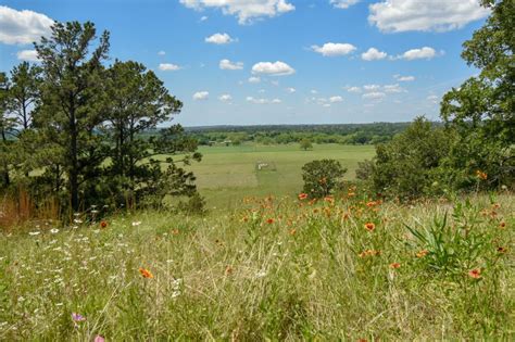 Hiking (and Learning About Bugs) at Buescher State Park – Texas Tourist