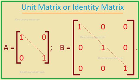 Classification of Matrices | Row Matrix | Column Matrix | Null Matrix