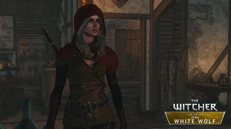 This Witcher 2 mod lets Geralt and Yennefer get married in a series ...