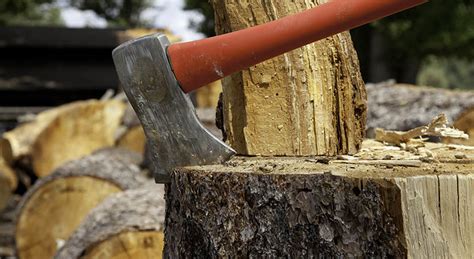 What Are The Best Tree Felling Techniques | Protecting Our Workers