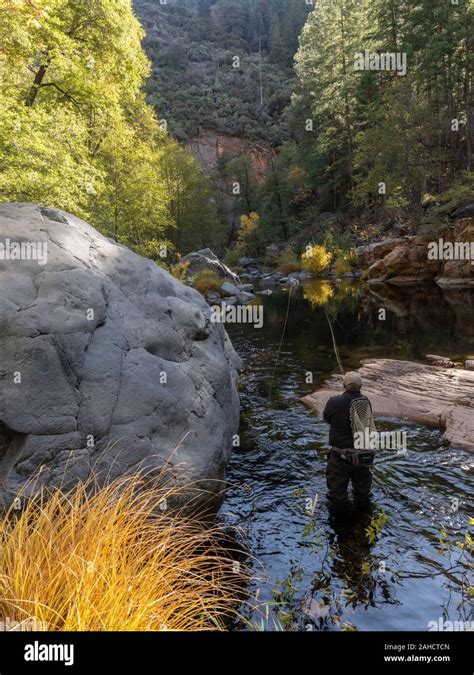 Fly fishing Oak Creek, Oak CReek Canyon, Sedona, Arizona Stock Photo ...