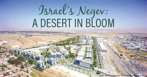 Israel's Negev: A Desert in Bloom: The Israel Forever Foundation