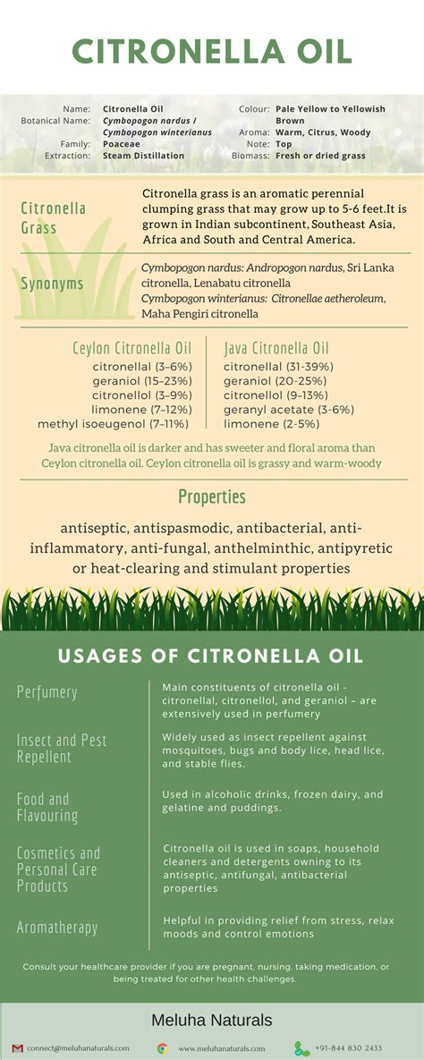 Citronella Oil. Citronella oil is a popular essential… | by Pawan Gupta ...