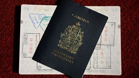 Passport delays persist even as Service Canada ups staffing | CTV News