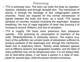 The Poisonous Puffer Fish - Chemistry | PPT