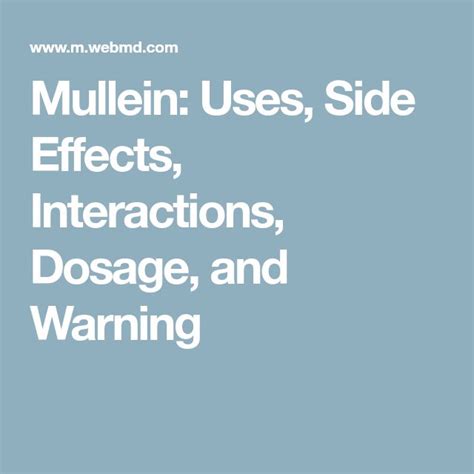 Mullein: Uses, Side Effects, Interactions, Dosage, and Warning ...