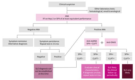 Anti-dsDNA autoantibodies in the diagnosis and management of SLE ...