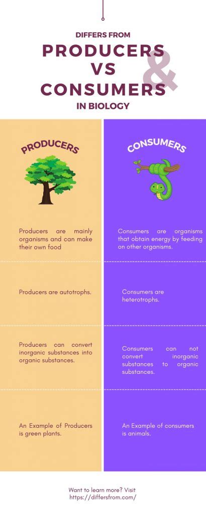 Consumer Examples Biology