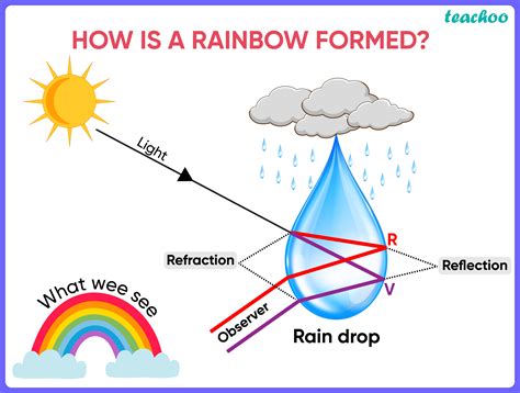 Which phenomena of light are involved in formation of a rainbow [MCQ]