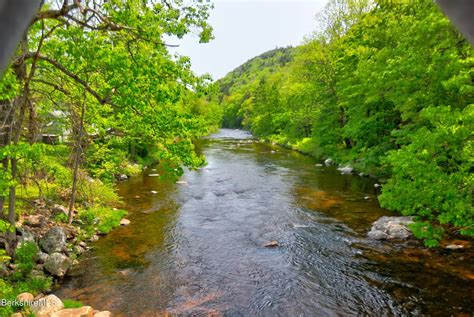 Massachusetts Fly Fishing - TotalFlyFishing.com