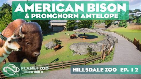 American Bison Habitat River Rock Zoo Planet Zoo Speed, 42% OFF