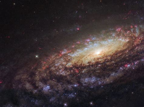 Hubble Observes Unbarred Spiral Galaxy NGC 7331 | Sci.News