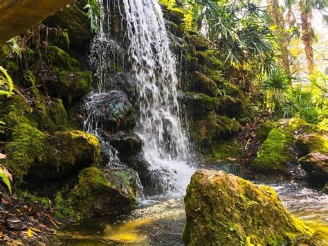 Florida's Rainbow Springs Offers Waterfall Chasing, Tubing & More