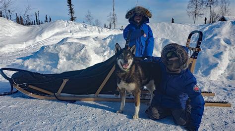 Winter Camping in Alaska with a Sled Dog Team - YouTube