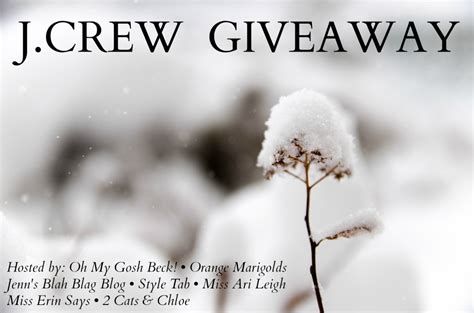 God's Growing Garden: J. Crew GIVEAWAY ($300 Gift Card)