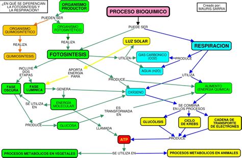 DISFRUTEMOS LAS CIENCIAS NATURALES profesor MAURIS SARRIA: FOTOSÍNTESIS ...