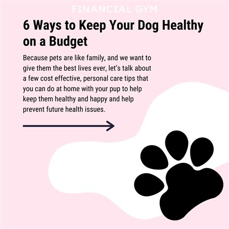 6 Ways to Keep Your Dog Healthy on a Budget