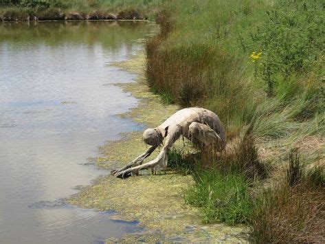 41 Strange on | Swamp creature, Creepy photos, Creatures