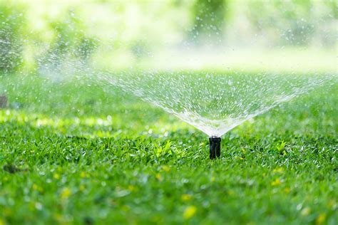 Sprinkler Systems – Hillsborough Irrigation