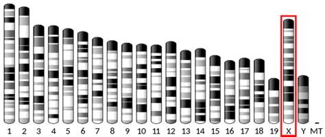 CD154 - Wikipedia