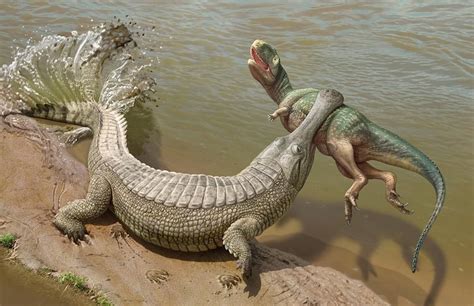 Sarcosuchus, which could bite down with about 80,000 newtons aka 18,000 ...