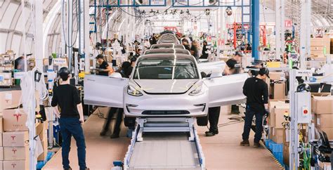 An Inside Look At Tesla's Shanghai Factory | HotCars