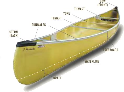 Types Of Canoes By Shape