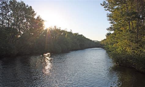 Boise Daily Photo: Good Morning Boise River