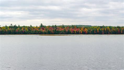 South Higgins Lake State Park | Michigan