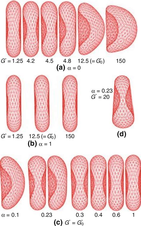 Simulated biconcave discoid (BD) and cupped (C) RBC shapes at ...