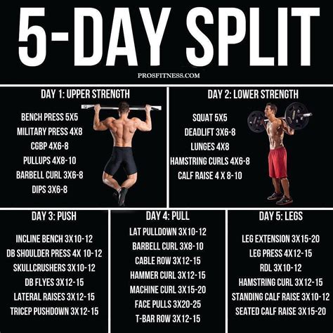 5-day Split Workout Routine | Strength training routine, Push pull ...