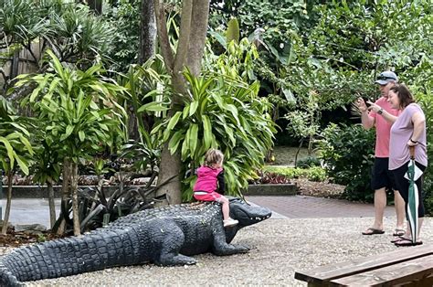 Everglades Wonder Gardens: 8 ways the old-time site delights