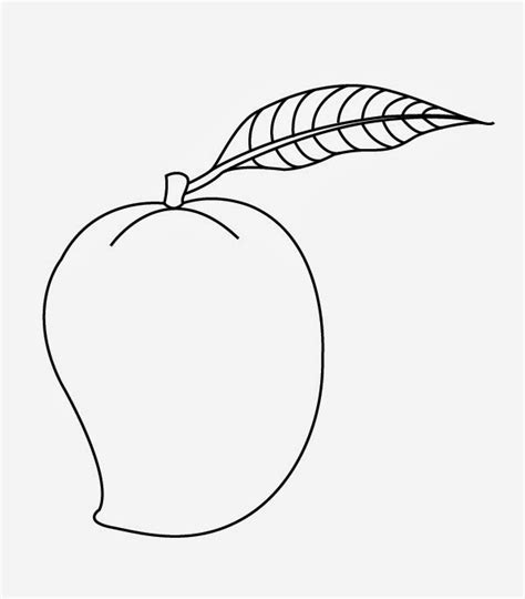 Mango Images For Drawing | Free download on ClipArtMag