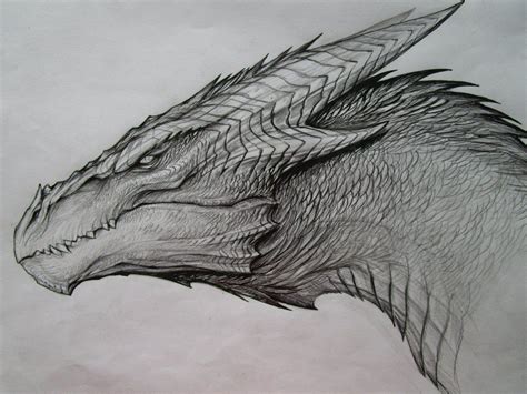 Dragon Head Drawing Side View - Drawing Word Searches