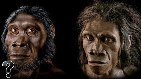 Did Humans Evolve From Apes? | Amazing Science Facts