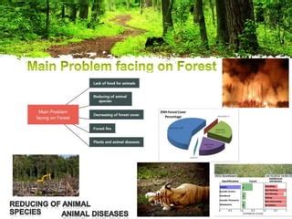 Forest conservation methods | PPT