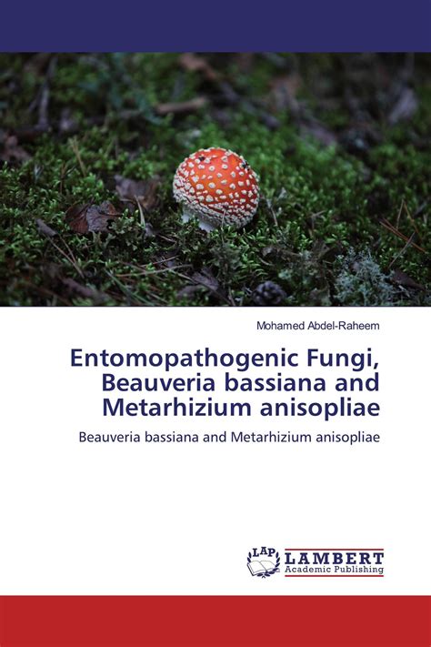 Entomopathogenic Fungi, Beauveria bassiana and Metarhizium anisopliae ...