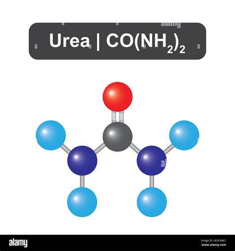 Molecular Model of Urea (CO(NH2)2) Molecule. Vector Illustration Stock ...