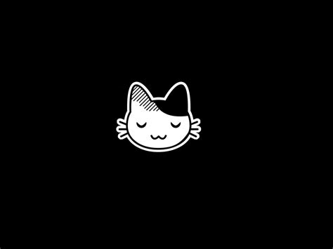 24+ Black Cat Anime Wallpaper Hd