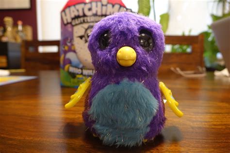 Hatchimals Glittering Garden Review | Best Buy Canada