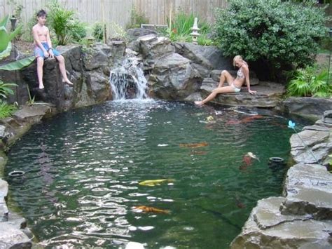 Koi Fish Ponds | Swimming pond, Outdoor water features, Natural ...