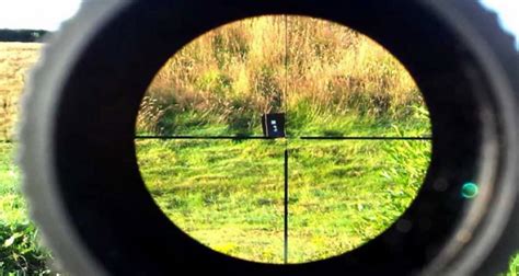 Everything You Need To Know About Telescopic Sights (air rifle scopes ...