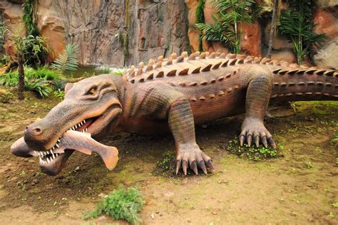 Sarcosuchus - A-Z Animals