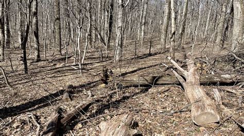 Hike to Upper Pocosin Mission at Shenandoah National Park