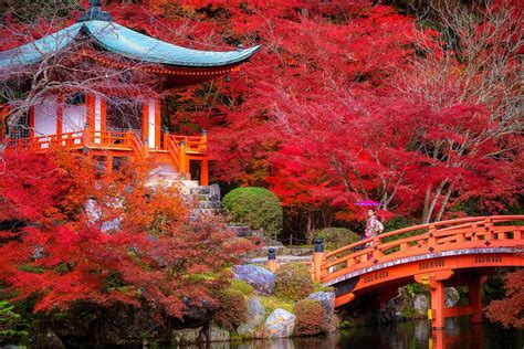 Fall Foliage in Japan: Where to Go, What to Do, the Weather & More ...