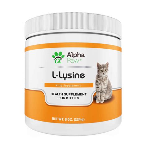 Lysine Chat